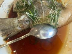 -永記粤菜·五指毛桃花雕鸡煲(九亭店)