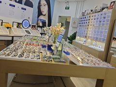 -天空之镜眼镜店蔡司依视路配镜授权零售店(望京颐堤港店)