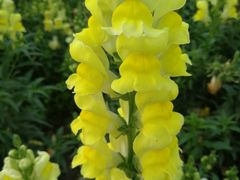 -长春公园(普阳街道)