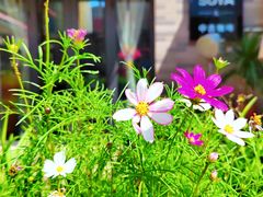 -陈熹公民族美食文化餐厅(中华广场店)