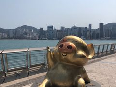 -星光大道
