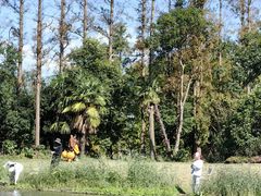 -上海长兴岛郊野公园