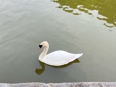 -合肥野生动物园