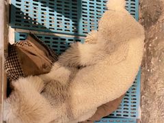 -MOJO密室逃脱(中街旗舰店)