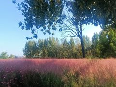 -汉长安城未央宫国家考古遗址公园