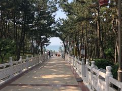 -林海公园