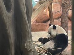 -南宁市动物园