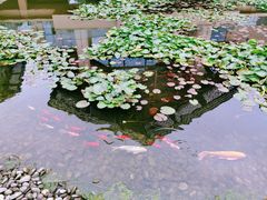 -昆明洲际酒店