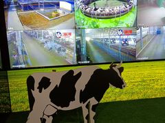 -天津海河华北乳品有限公司