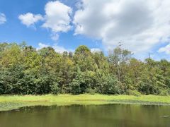 -上海海湾国家森林公园