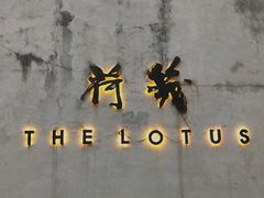 -几荷·恰似故人来(秀水广场店)