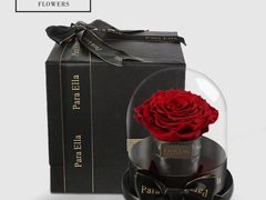 -ChaKo Flora ·茶子花艺 (市北店)