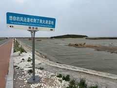 -南大港湿地风景区