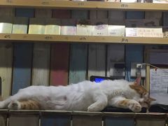 -小时光咖啡馆(开森度假森林店)