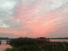 -芒洲湿地公园