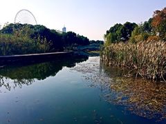 蠡湖公园-蠡湖大桥公园