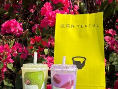 -星满杯TEAFUL(罗湖东门店)