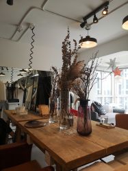 -净漪造型 PURE RIPPLE