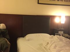 -北京丽亭华苑酒店