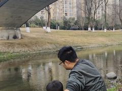 -两河城市森林公园