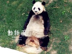 -石家庄市动物园