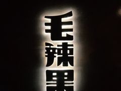 -毛辣果·酸