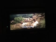 -万达影城(锦华万达广场IMAX店)