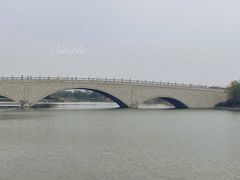 -西京湾花海