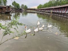 -河北村民俗体验园