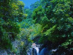 -龙岩森林水乡景区