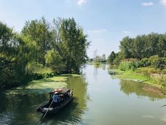 -溱湖国家湿地公园