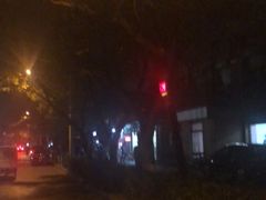 -中关村茶点