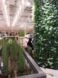 -悦诗风吟innisfree