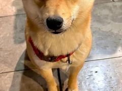 -百灵缘瑞丽味道特色小吃(水乡店)