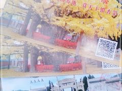 -浮来山风景区