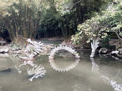 -汇龙潭