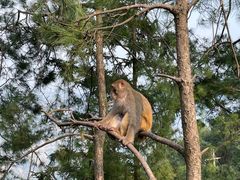 -重庆雨台山风景区