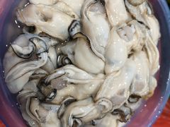 -蚝乡农庄(铁涌赤岸店)