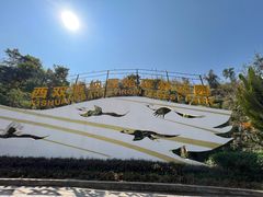 -西双版纳原始森林公园