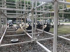 -证大喜玛拉雅中心