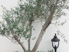 -那家面包房(珠江路店)