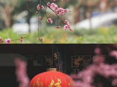 -青羊宫