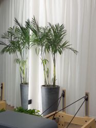 -不懂瑜伽·普拉提空间