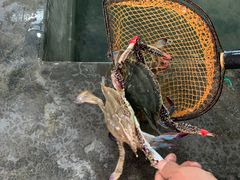 -阔澜蒸汽海鲜自助