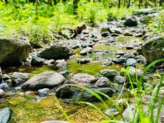 -玉渡山自然风景区