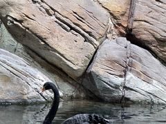 -上海海洋水族馆