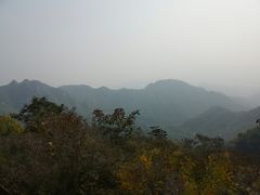 -大岭沟猕猴桃谷风景区