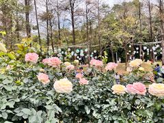 -人民公园(罗湖区)