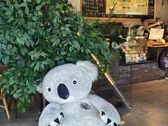 -了不起的考拉咖啡店(高新店)