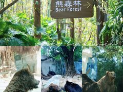-广州长隆野生动物世界